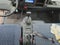 2023 Chevrolet Low Cab Forward 5500 XD NA